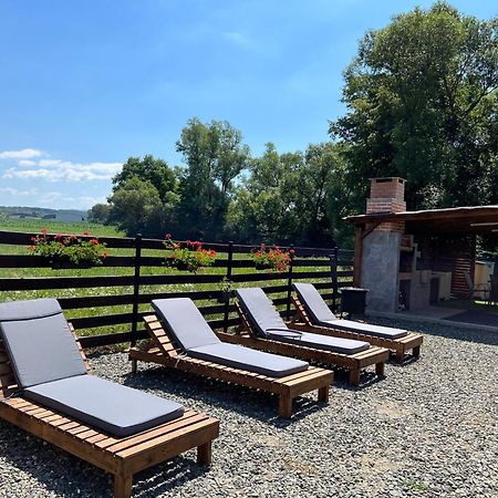 Casa Cu Flori Maramures Бая-Маре Экстерьер фото