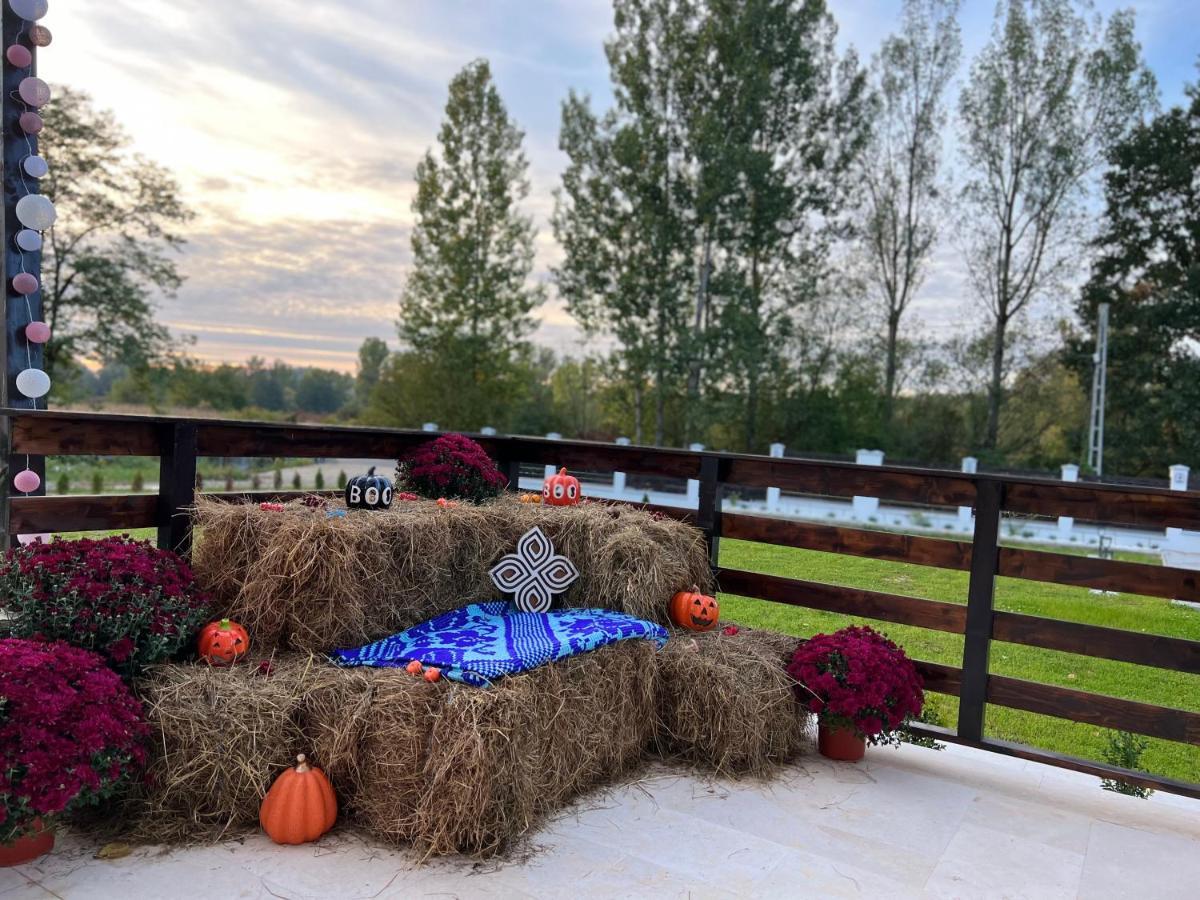 Casa Cu Flori Maramures Бая-Маре Экстерьер фото