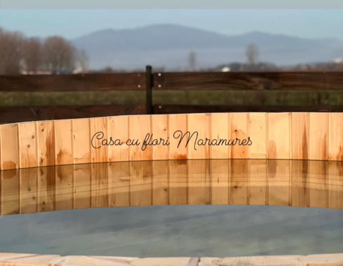 Casa Cu Flori Maramures Бая-Маре Экстерьер фото